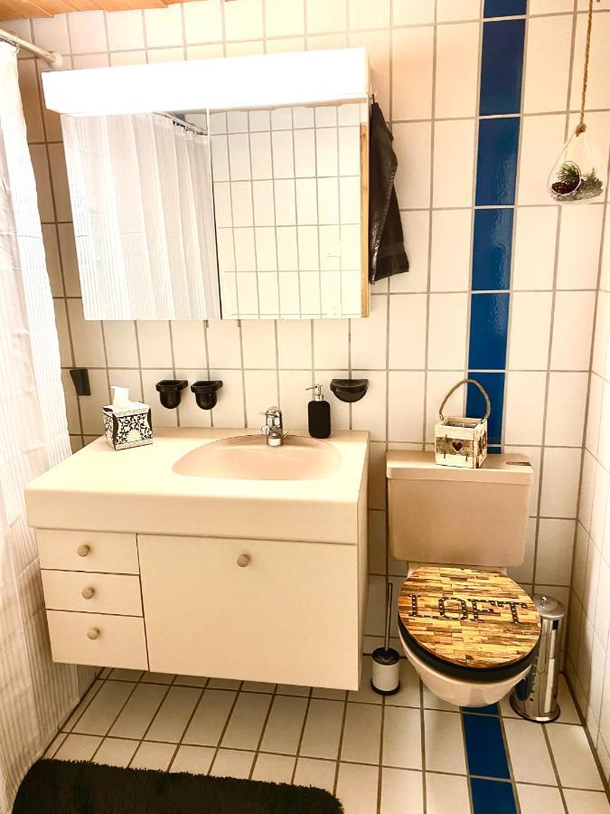 Appartement Aareschlucht- Grandiose Aussicht Fuer 2-6 Pers. 마이링겐 외부 사진