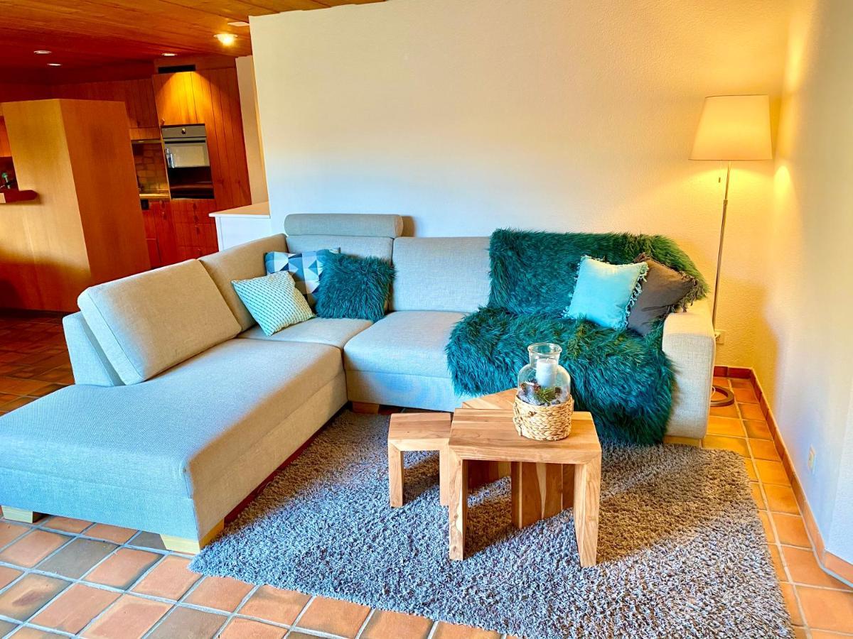 Appartement Aareschlucht- Grandiose Aussicht Fuer 2-6 Pers. 마이링겐 외부 사진